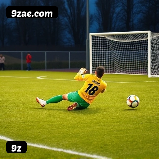 Jogo responsável 9z - Ferramentas de controle, limites, auto-exclusão, suporte CVV 188